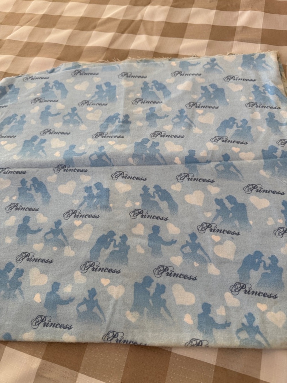 Plush Light Blue Princess Fabric